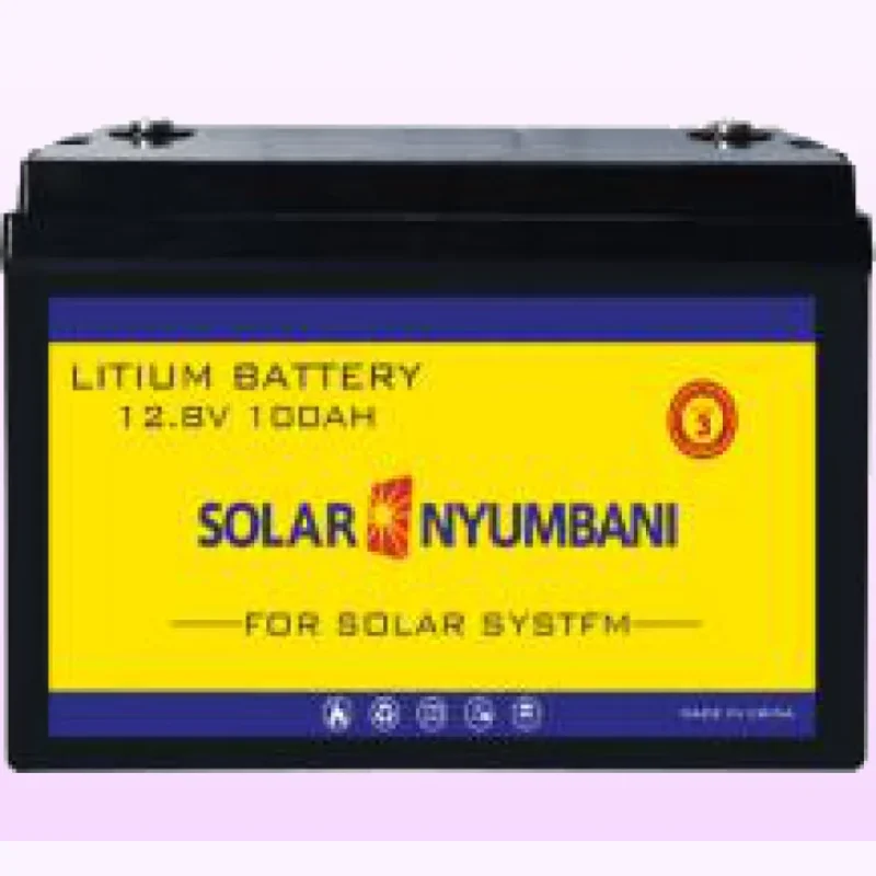Solar Nyumbani 12.8V 300Ah Lithium Battery (3.84kWh)